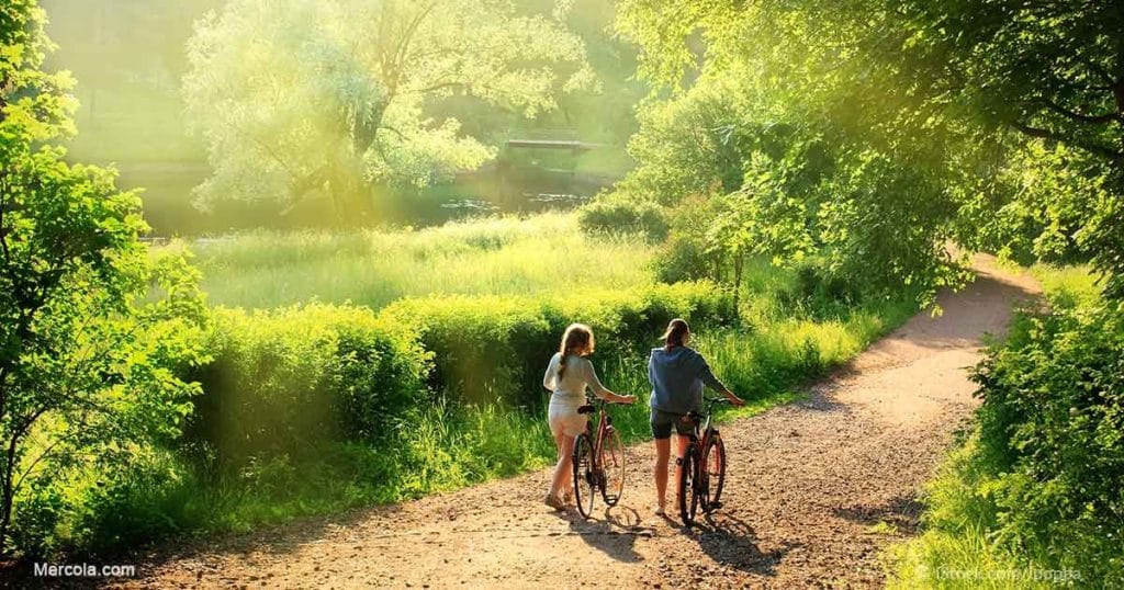 La Ecoterapia: 3 consejos para conectar con la naturaleza
