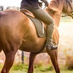 beneficios para la salud de montar a caballo