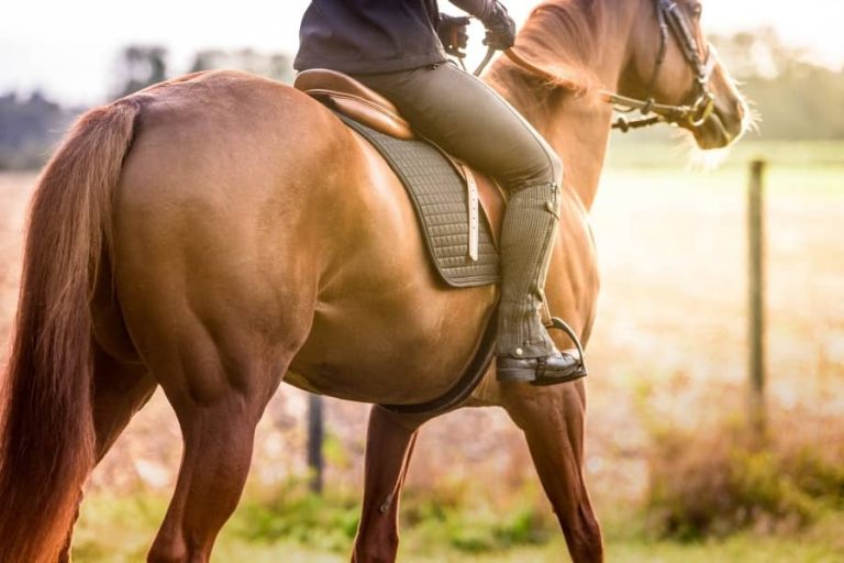 6 razones por las que montar a caballo es bueno para la salud