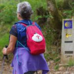 Camino de Santiago