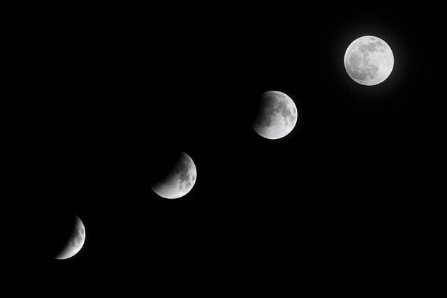 Actividad fases de la luna para niños